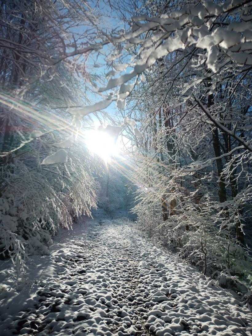 Peisaje uluitoare de iarnă din Parcul Național Semenic Cheile Carașului 18822673