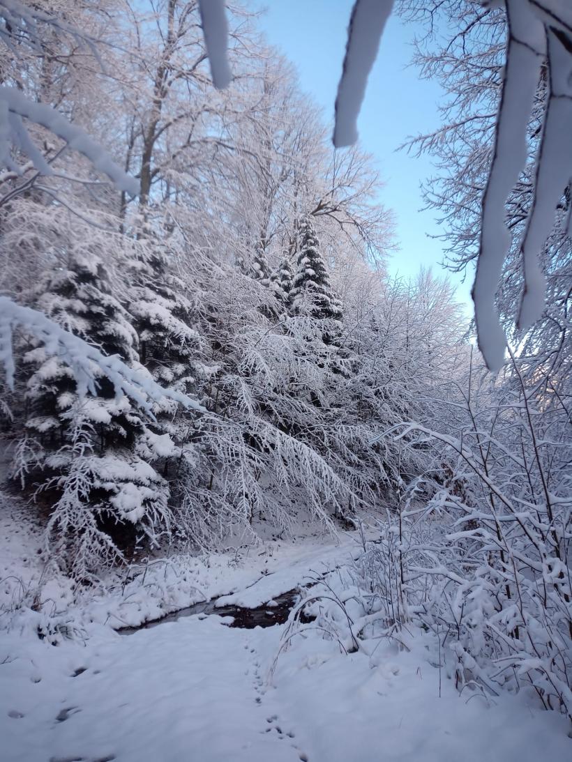 Peisaje uluitoare de iarnă din Parcul Național Semenic Cheile Carașului 18822676