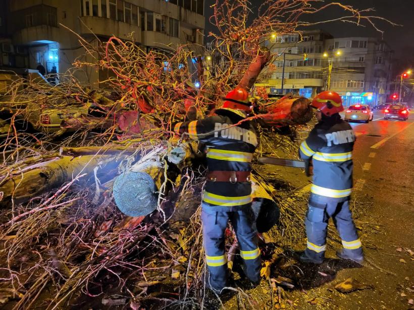 Un copac uriaș a căzut pe una dintre cele mai circulate străzi din Constanța 18822793