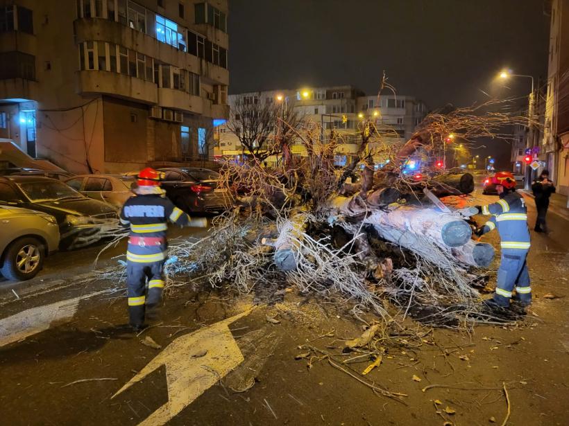 Un copac uriaș a căzut pe una dintre cele mai circulate străzi din Constanța 18822795