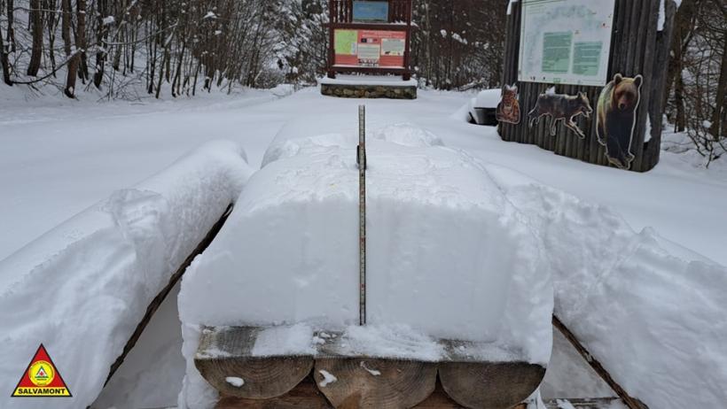 Traseul Lepșa-Rezervația Cheile Tișiței a fost închis din cauza zăpezii
