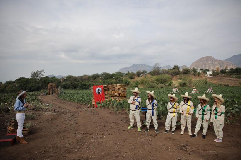 După cursa din ediția de ieri America Express, care a fost lider de audiență,  echipele se transformă în revoluționari și luptă pentru amuletă  pe o plantație de cactuși 18823231