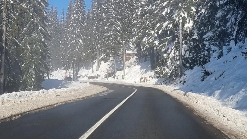Se circulă în condiții de ninsoare slabă pe drumurile din mai multe județe