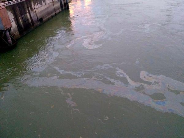Poluare cu produse petroliere pe râul Argeș
