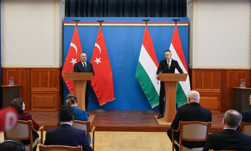 Ungaria critică „prostia” Suediei în privinţa Turciei