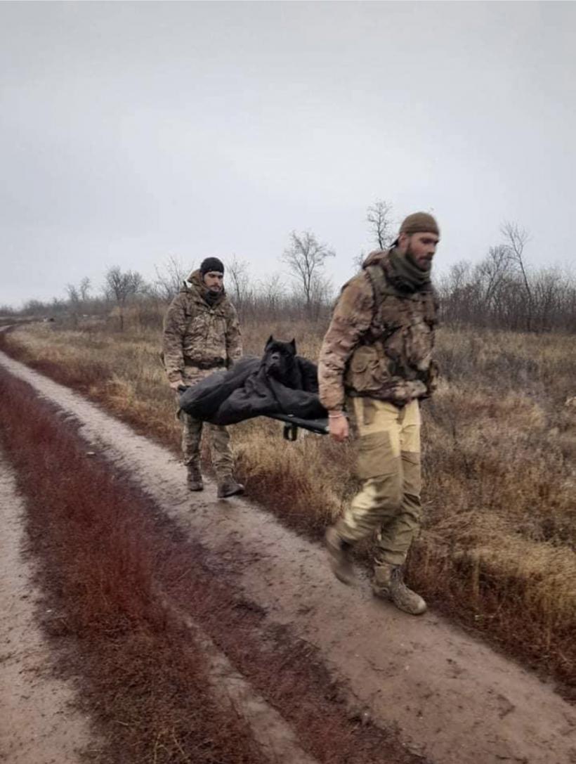 Și-a pierdut lăbuța în război: Incredibila poveste a câinelui militar Vas'ka 18823755