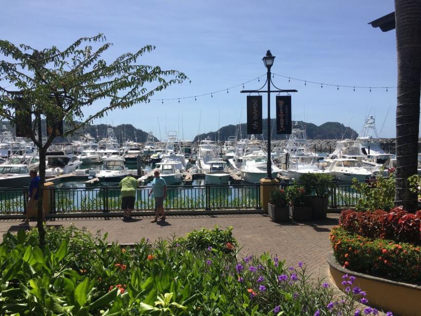 Pescuit turistic, pe valurile Pacificului 18823655