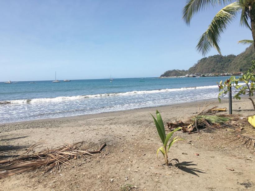 Pescuit turistic, pe valurile Pacificului 18823659