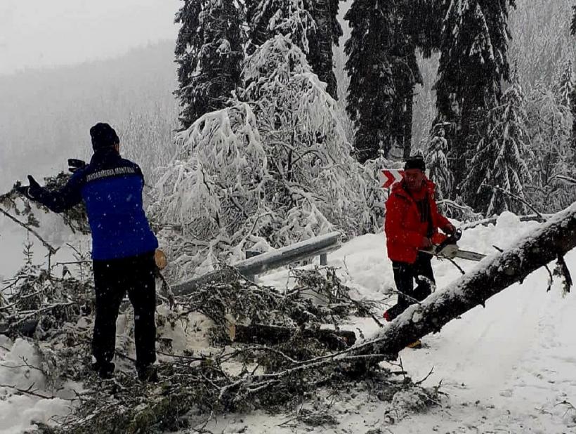 VIDEO Intervenție providențială: Salvați de pe munte după două ore!   18823809