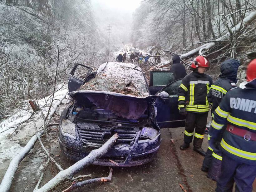 Accident teribil pe o șosea din Caraș-Severin. Un copac a căzut peste o mașină aflată în trafic. Un băiat de 14 ani a murit 18823957