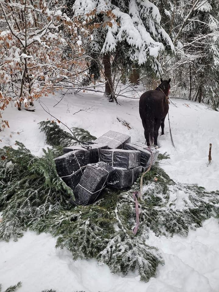 Contrabanda cu țigări, adaptată la condiții de iarnă. Caii și crengile de brad în locul dronelor și elicopterelor 18823898