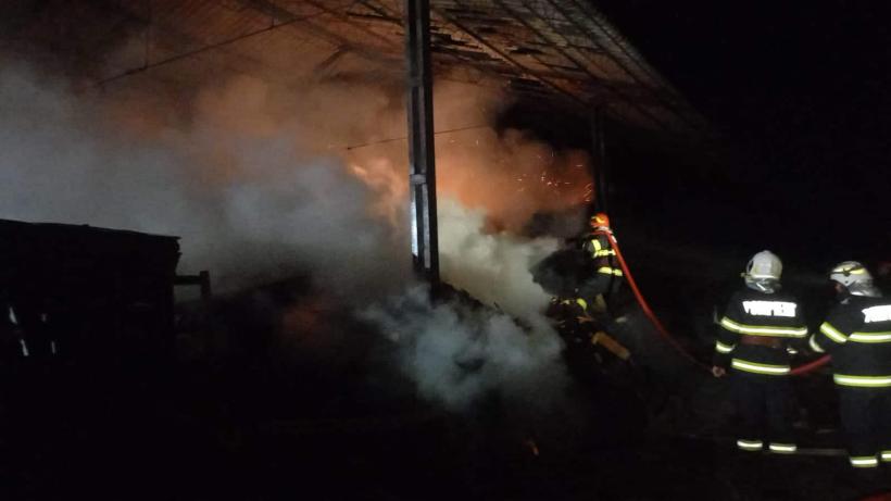 Incendiu devastator la un depozit de material lemnos din Săcueni