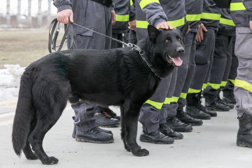 Prima misiune a echipei de căutare-salvare RO-USAR, în Turcia 18824387