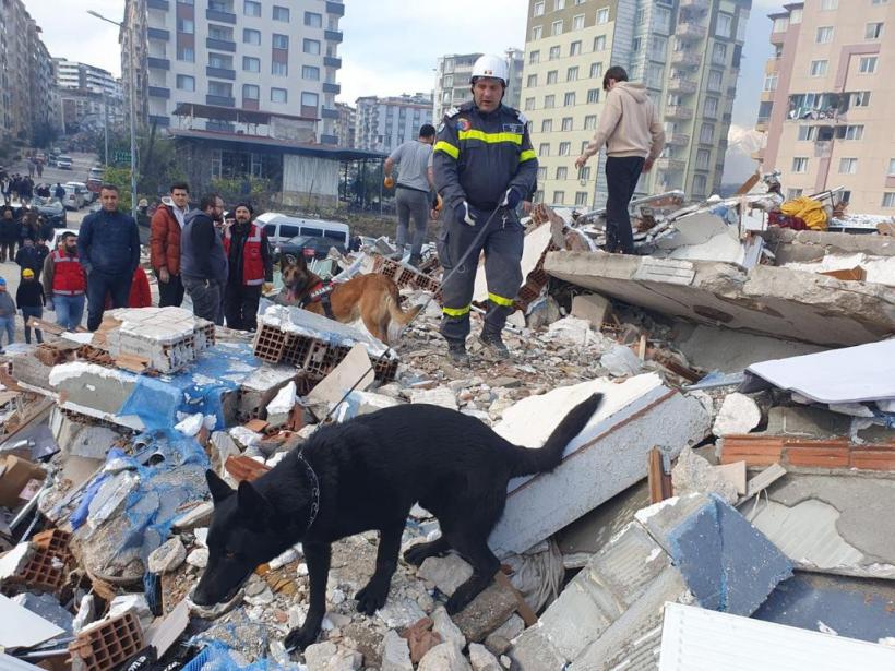 România suplimentează ajutorul pentru Turcia 18824510