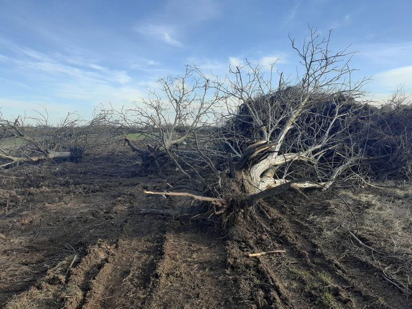 Sat vechi de 300 de ani, lăsat fără drum: l-a arat un arendaș! 18824601