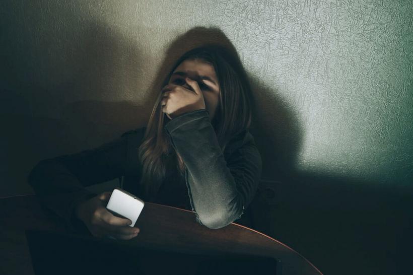 Cyberbullying: copiii suferă, adulții nu înțeleg