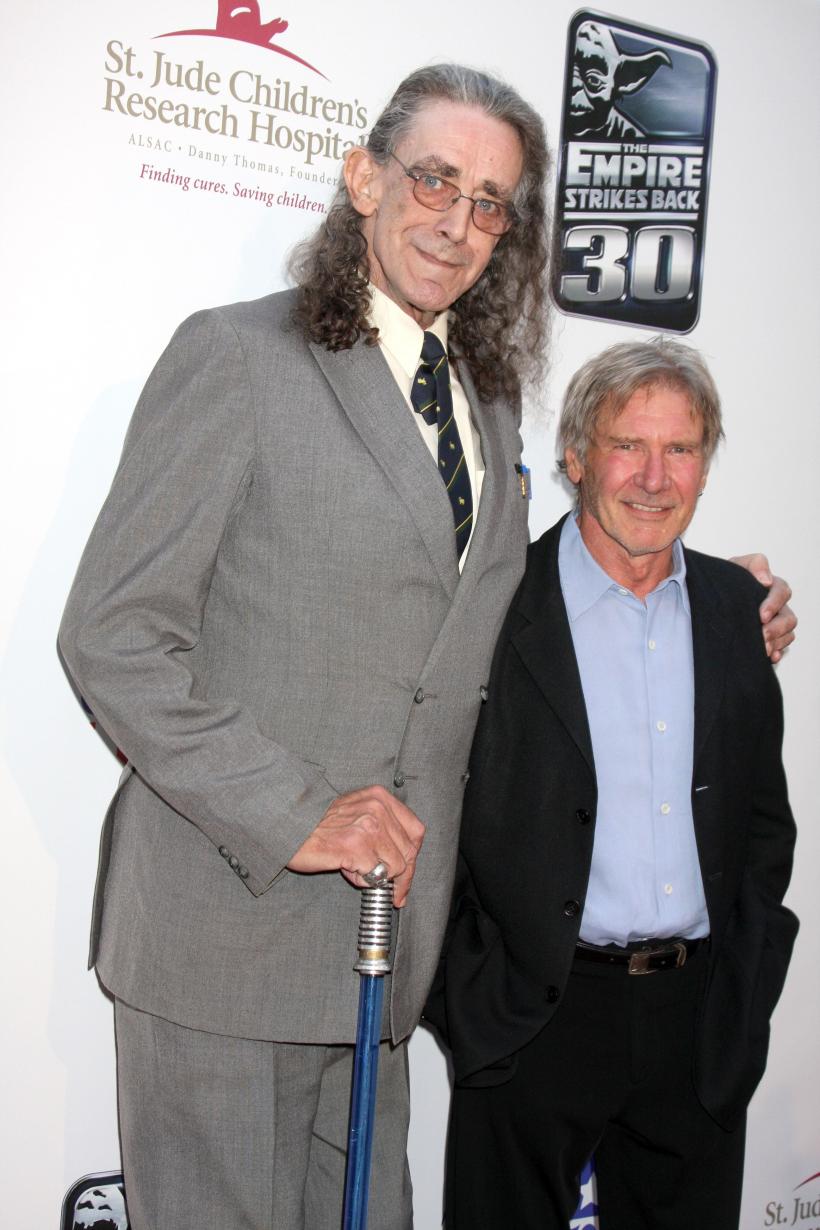 Vânzarea unor suveniruri din "Star Wars", deținute de actorul Peter Mayhew, suspendată 18825073