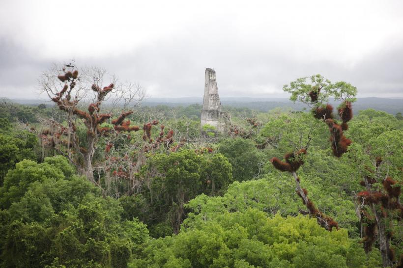 Cursă periculoasă la America Express, în jungla din Guatemala. Cătălin Scărlătescu: ”Mi-o luase inima razna rău!” 18825228