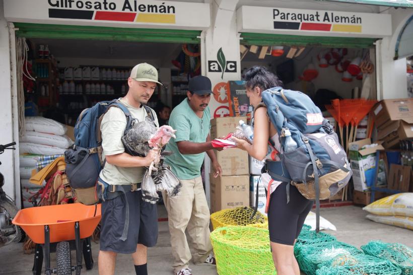 America Express, lider de audiență. Diseară, la cursa pentru imunitate, vedetele își înfruntă fobiile de animale 18825431