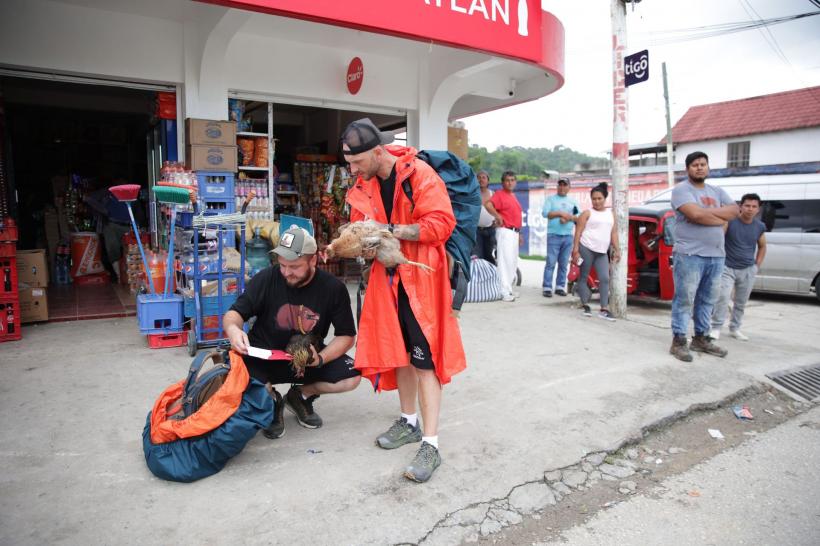 America Express, lider de audiență. Diseară, la cursa pentru imunitate, vedetele își înfruntă fobiile de animale 18825432