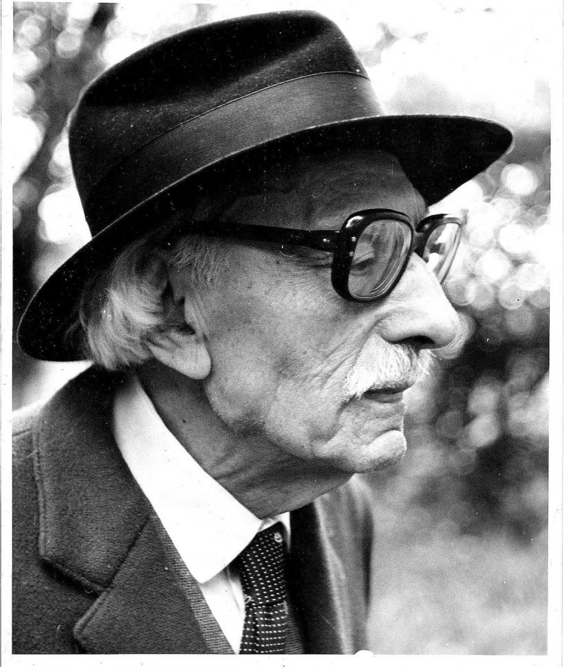 Moșandrei, poetul care a vânat parașutiști sovietici cu avionul 18825249