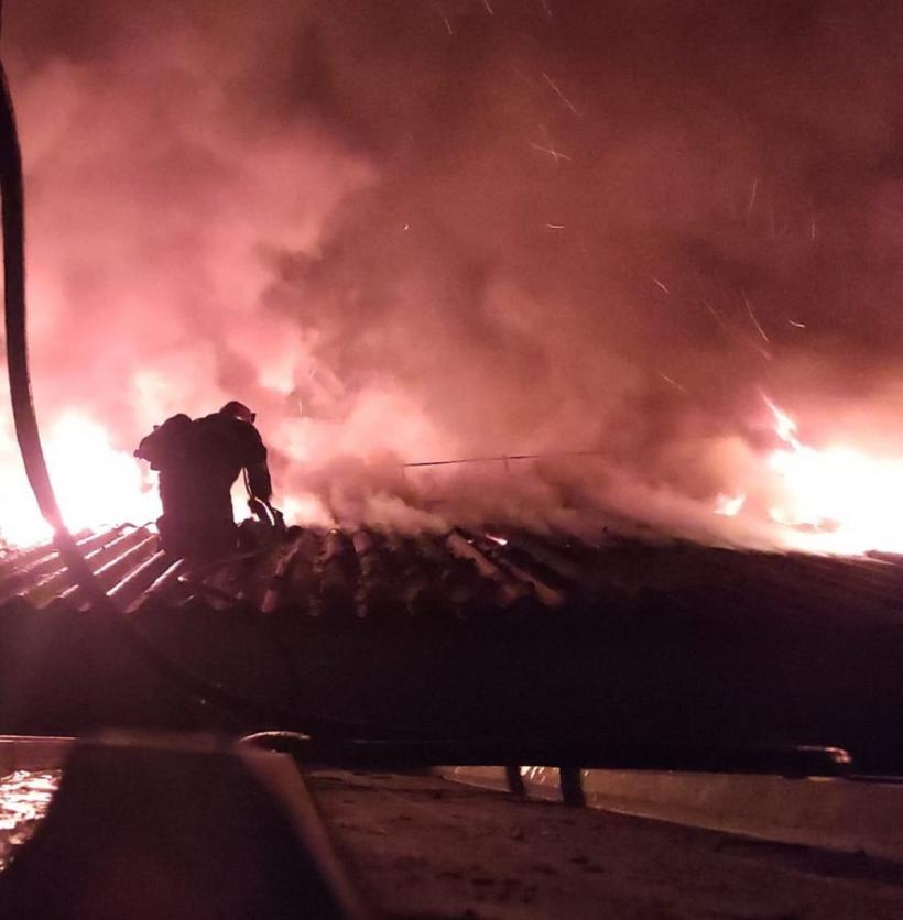Incendiu puternic într-o hală a unei firme de prelucrare a lemnului