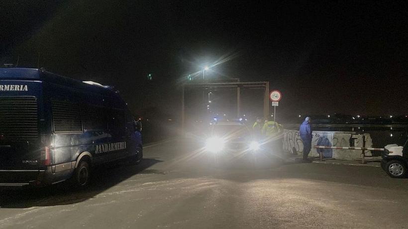 Doi câini de luptă au atacat o femeie care se plimba în zona Lacul Morii 18826119