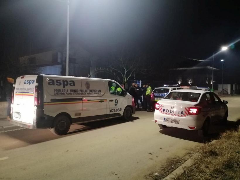 Doi câini de luptă au atacat o femeie care se plimba în zona Lacul Morii 18826121