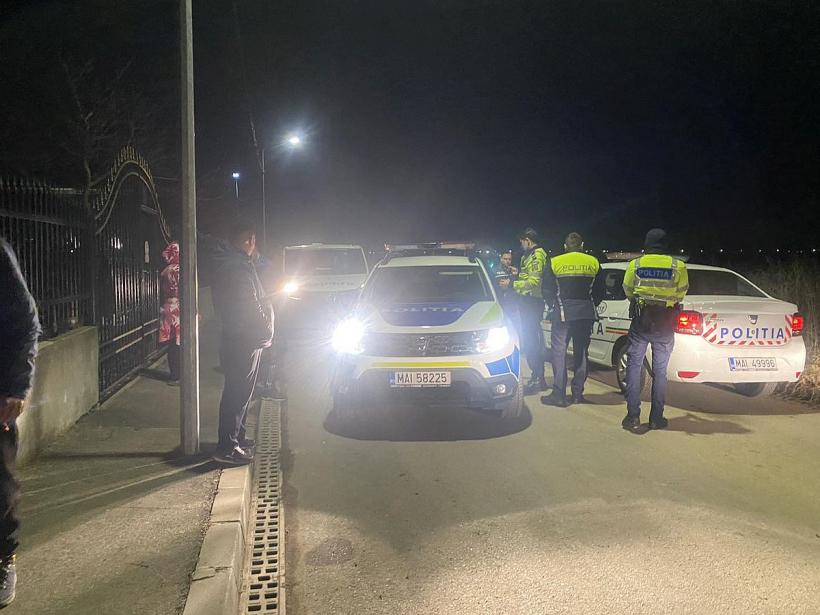 Doi câini de luptă au atacat o femeie care se plimba în zona Lacul Morii 18826122