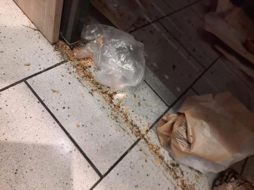 Mizerie de nedescris în zona de panificație și la vitrinele de congelare a magazinelor LIDL Delfinariu și Năvodari 18826241