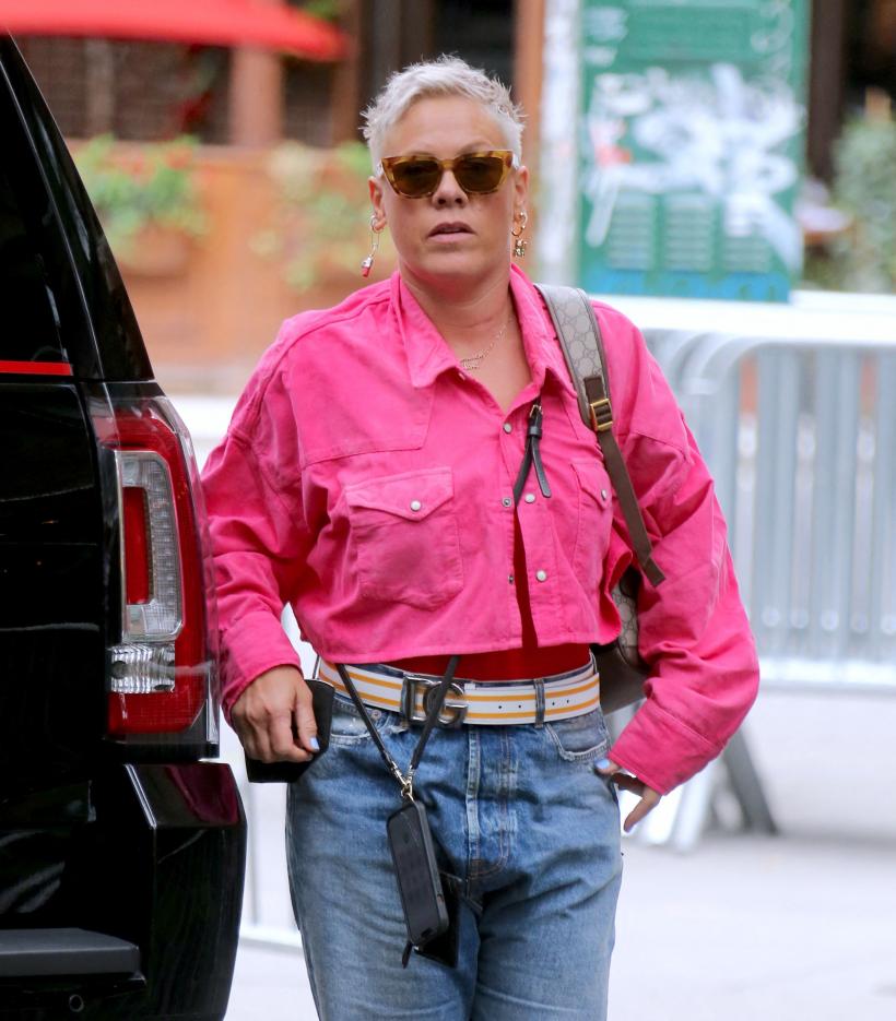 Pink revine cu un nou album de studio: "Viața ca o aventură" 18826464