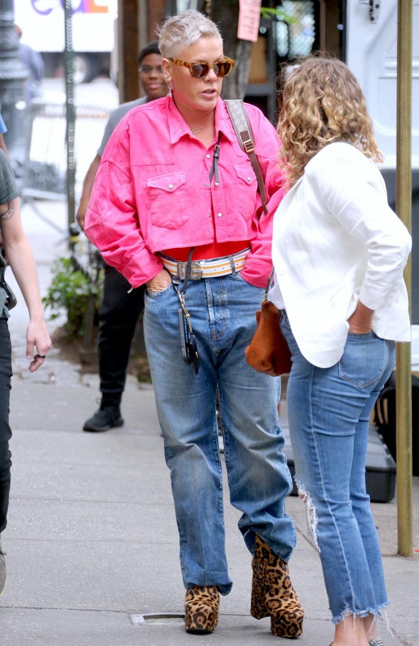 Pink revine cu un nou album de studio: "Viața ca o aventură" 18826465