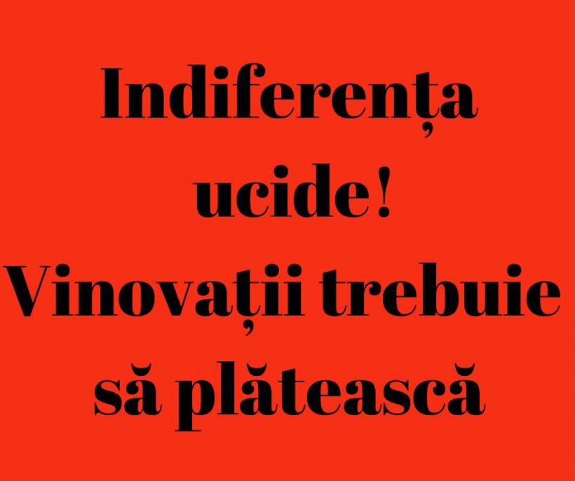 Gabriela Firea: "A trecut o lună de când o femeie a murit mușcată de câini! Dar nici primarul general, nici liderii locali și naționali ai USR nu par să aibă insomnii!" 18826594