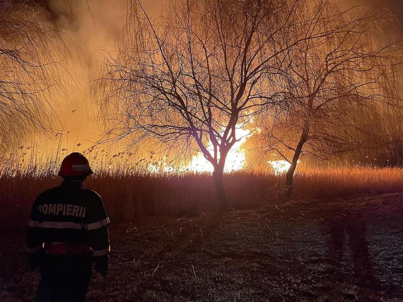 VIDEO Incendiu de vegetație în Delta Dunării