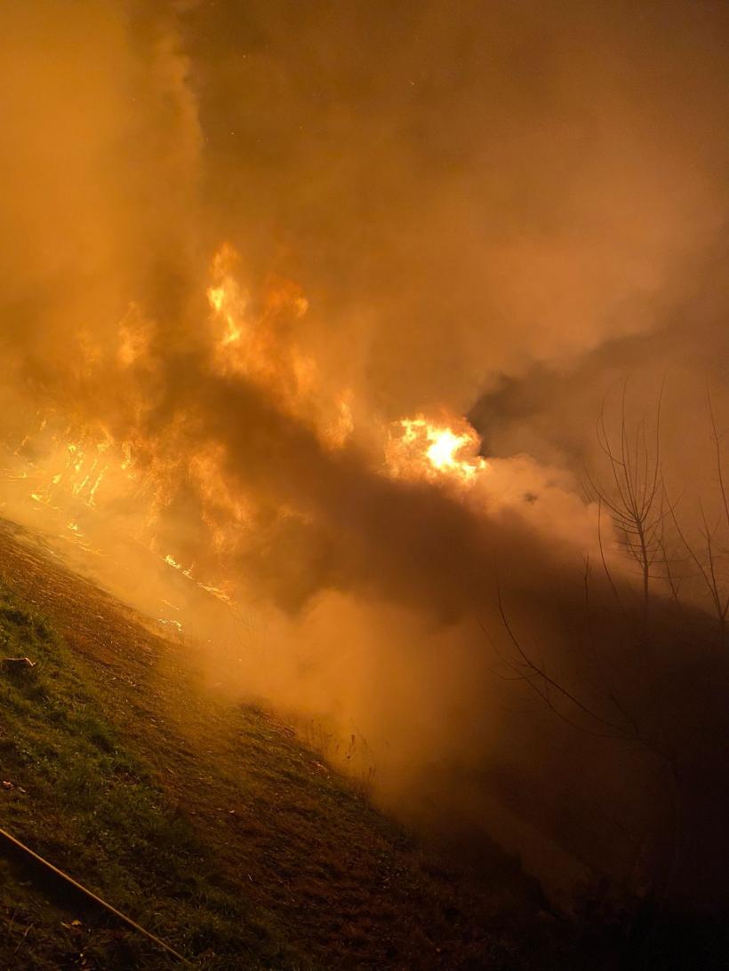 Incendiu violent în Vaslui: ard peste 30 de hectare de stuf