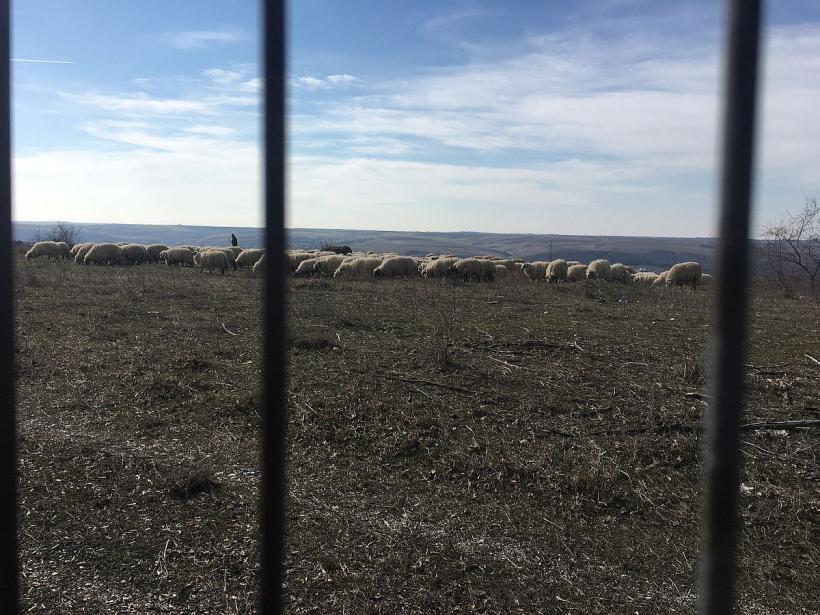 Adam Kilisse, satul nășit de turci în care s-au măcelărit Decebal și Traian 18826798