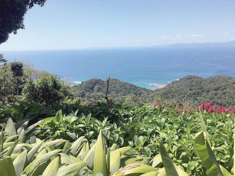 Similitudini între Costa Rica și România 18827006