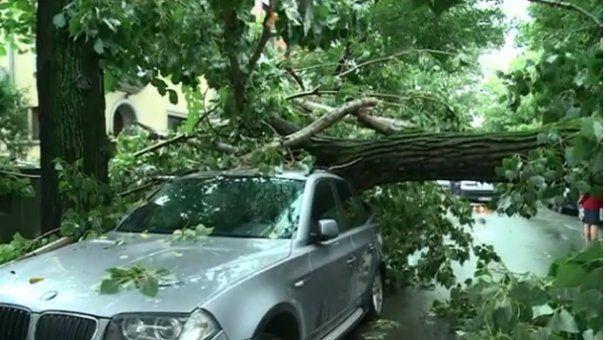 Vânt puternic în orașul Galați: Trei autoturisme au fost avariate de un copac rupt