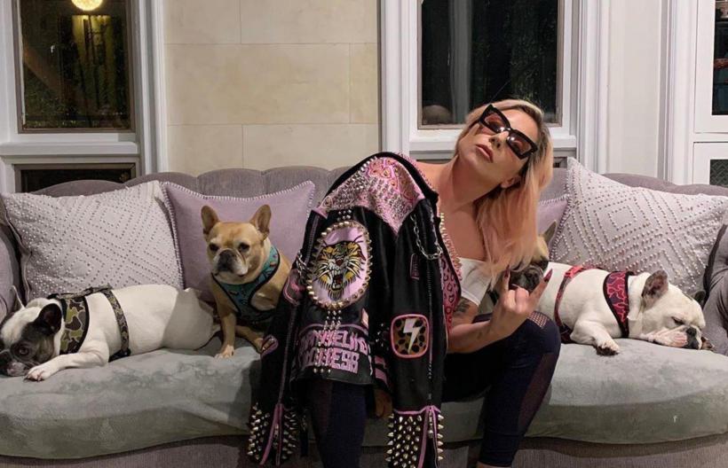 Femeia care a returnat câinii lui Lady Gaga o dă în judecată pe cântăreață pentru recompensă