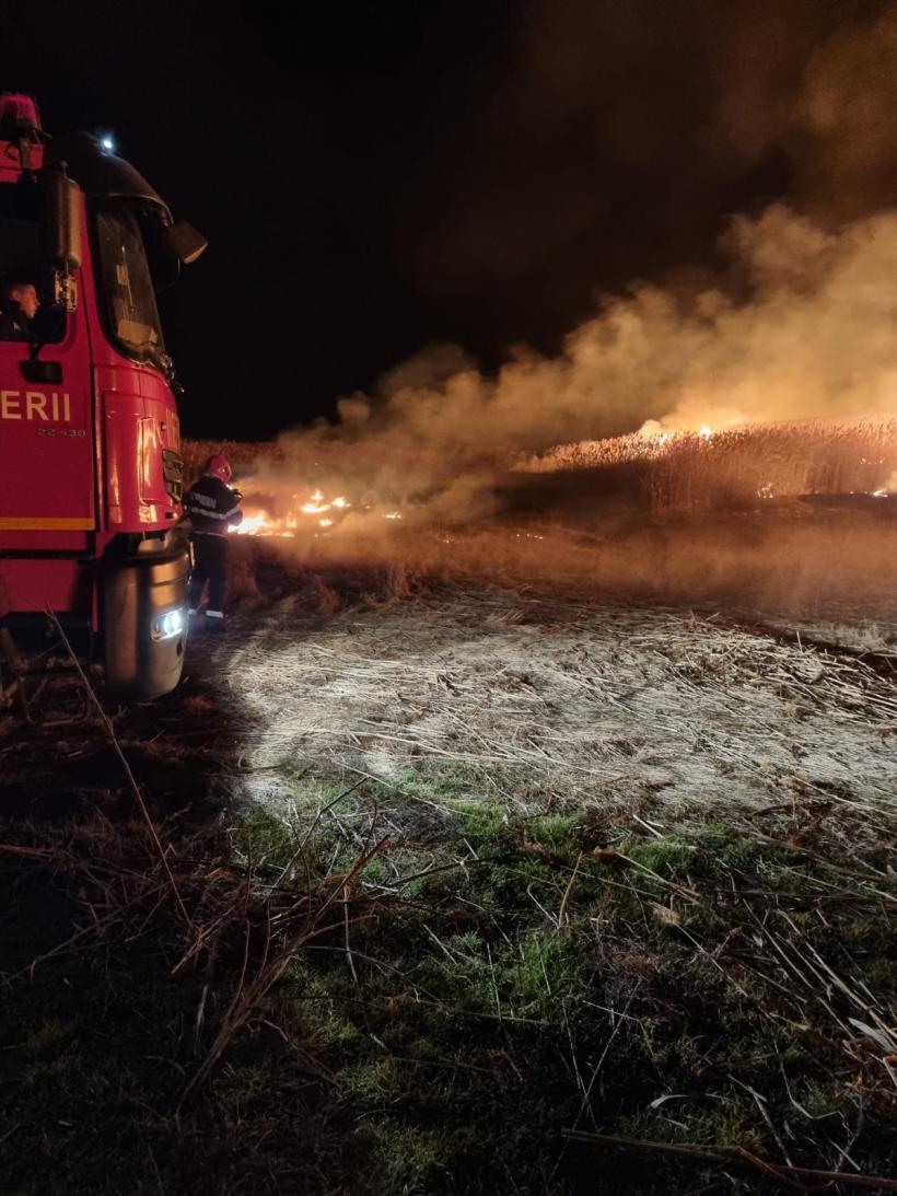 Incendiile de vegetație fac ravagii în Tulcea: Peste 110 hectare au ars într-o singură zi