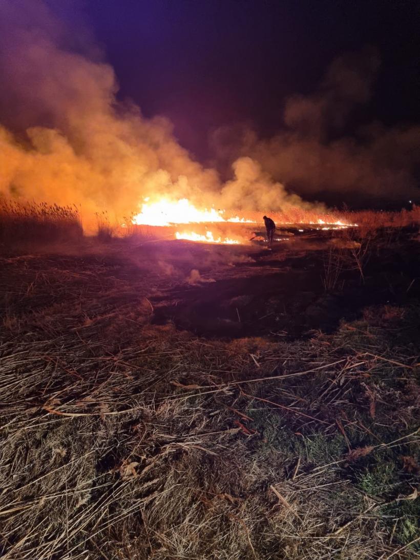 Incendiile de vegetație fac ravagii în Tulcea: Peste 110 hectare au ars într-o singură zi 18827323