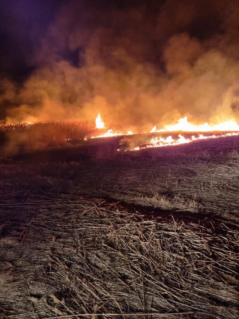 Incendiile de vegetație fac ravagii în Tulcea: Peste 110 hectare au ars într-o singură zi 18827324