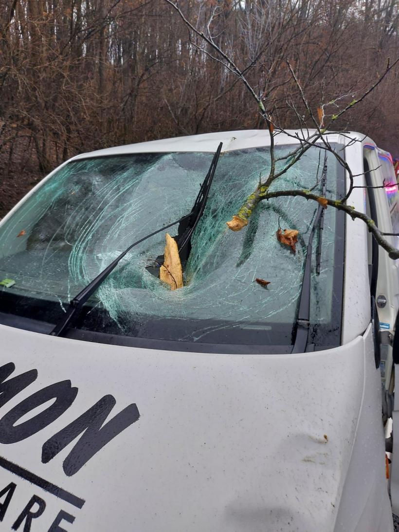 Un copac a căzut peste o mașină aflată în mers, în Sighișoara