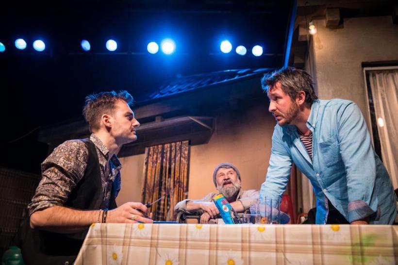 Spectacole cu zâmbet, veselie și energie bună la Teatrul Metropolis 18827766