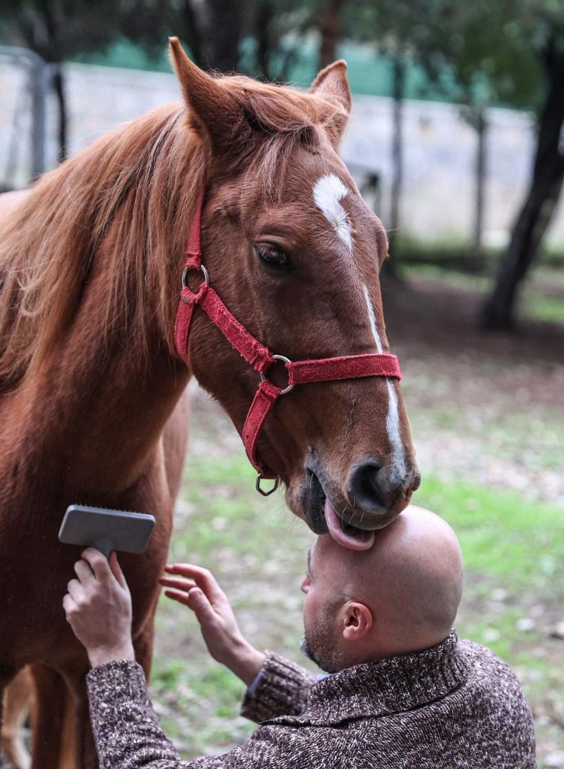 Cal scos de sub ruinele unei clădiri, la 21 de zile de la cutremurul din Turcia! 18827815