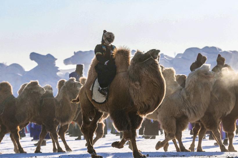 Eveniment inedit în Mongolia. "Festivalul celor o mie de cămile" vrea să impulsioneze turismul 18828604