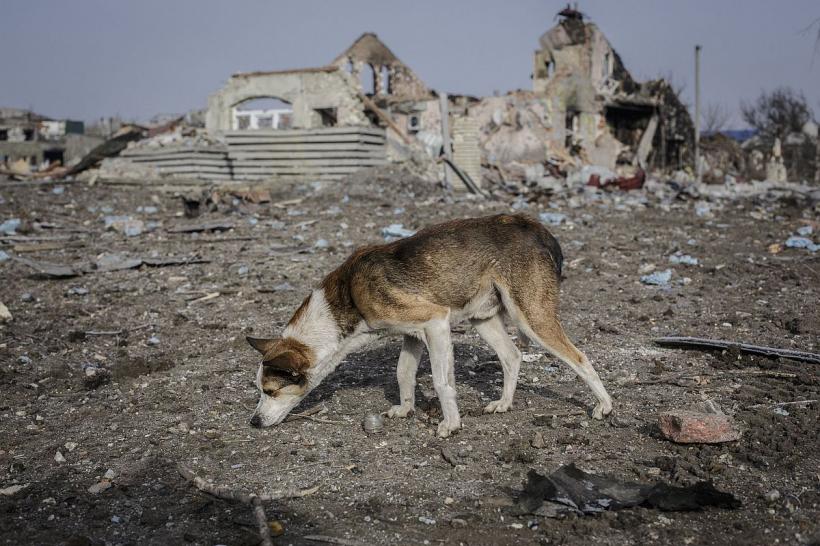 Bahmut, capcana întinsă armatei lui Putin  18828624