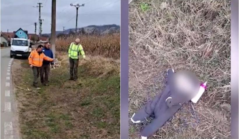 Povestea UIMITOARE a fetiței abandonate pe câmp: „O mânuţă se mişca în şanţ. Era un bebeluş cu o sticluţă de lapte lângă el” 18828876