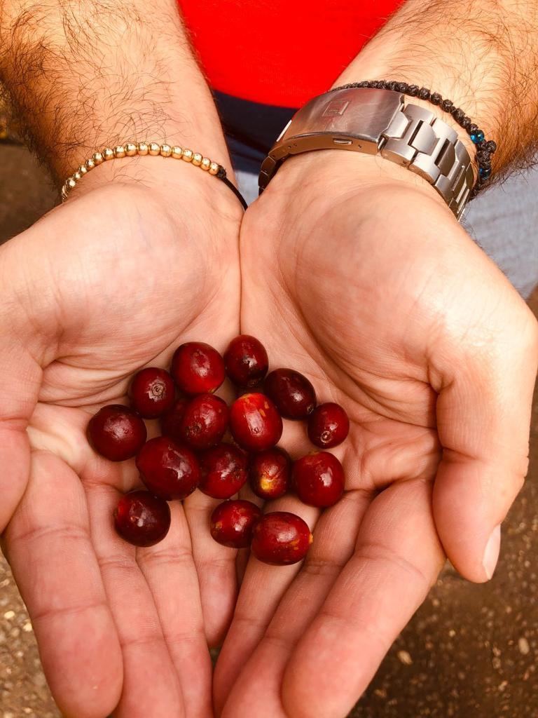 Există cafea de înaltă calitate în România? Da! (2) 18829056