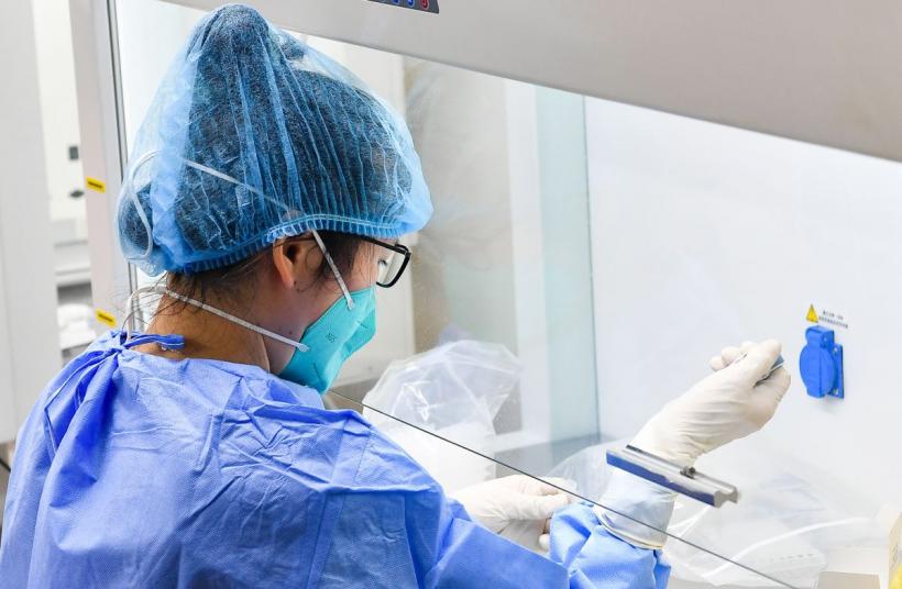 OMS donează României echipamente medicale de aproape 500.000 euro 18829219